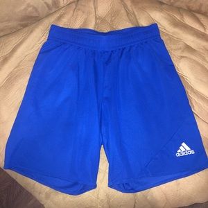 Sports shorts